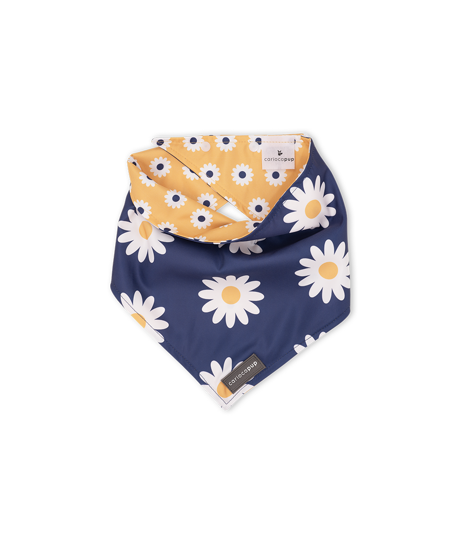 Bandana Pet Dupla Face Girly Flower Azul da CariocaPup