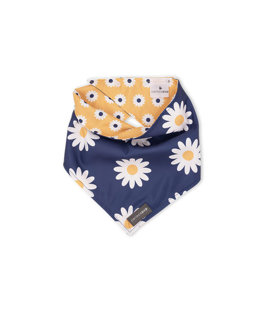 Bandana Pet Dupla Face Girly Flower Azul da CariocaPup