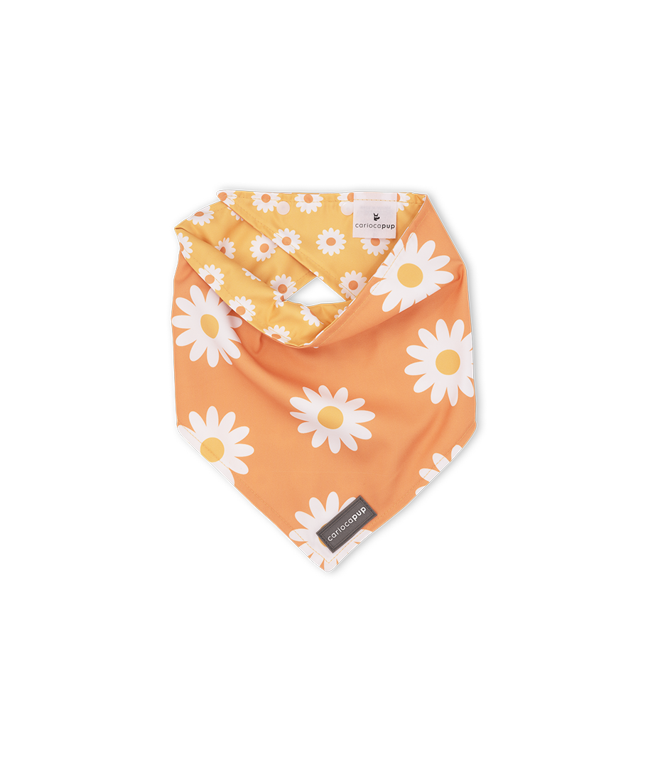 Bandana Pet Dupla Face Girly Flower Laranja da CariocaPup