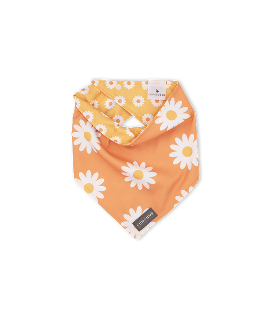 Bandana Pet Dupla Face Girly Flower Laranja da CariocaPup