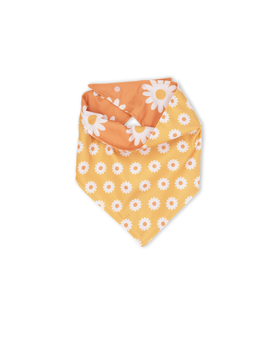 Bandana Pet Dupla Face Girly Flower Laranja da CariocaPup