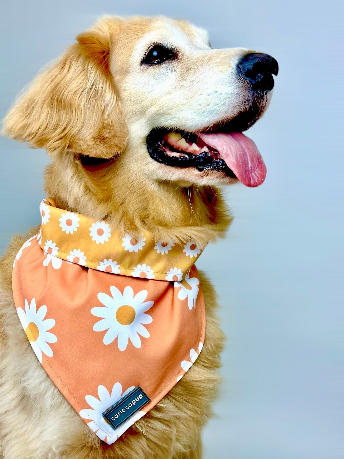 Bandana Pet Dupla Face Girly Flowers - Laranja