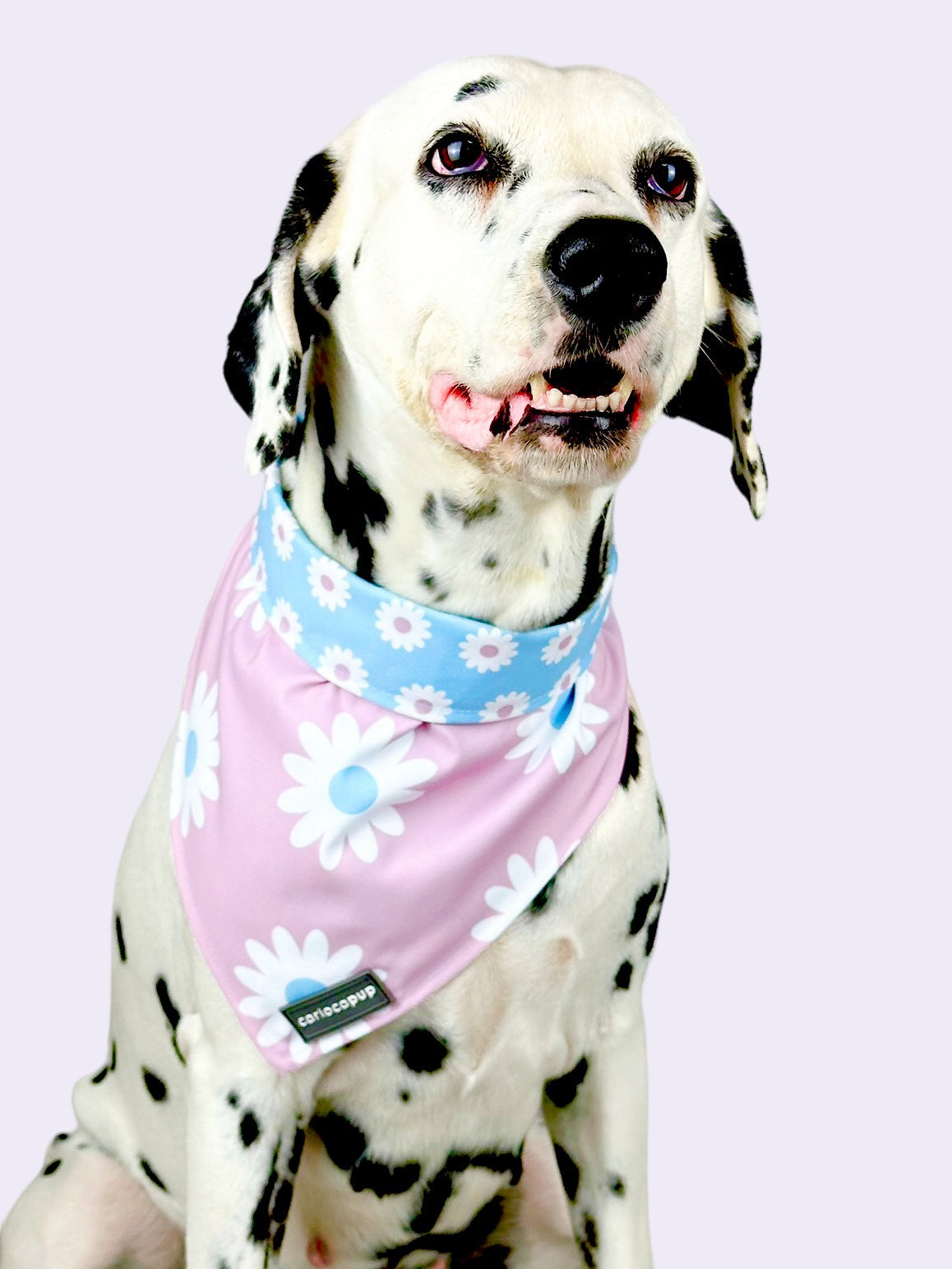 Bandana Pet Dupla Face Girly Flowers - Rosa
