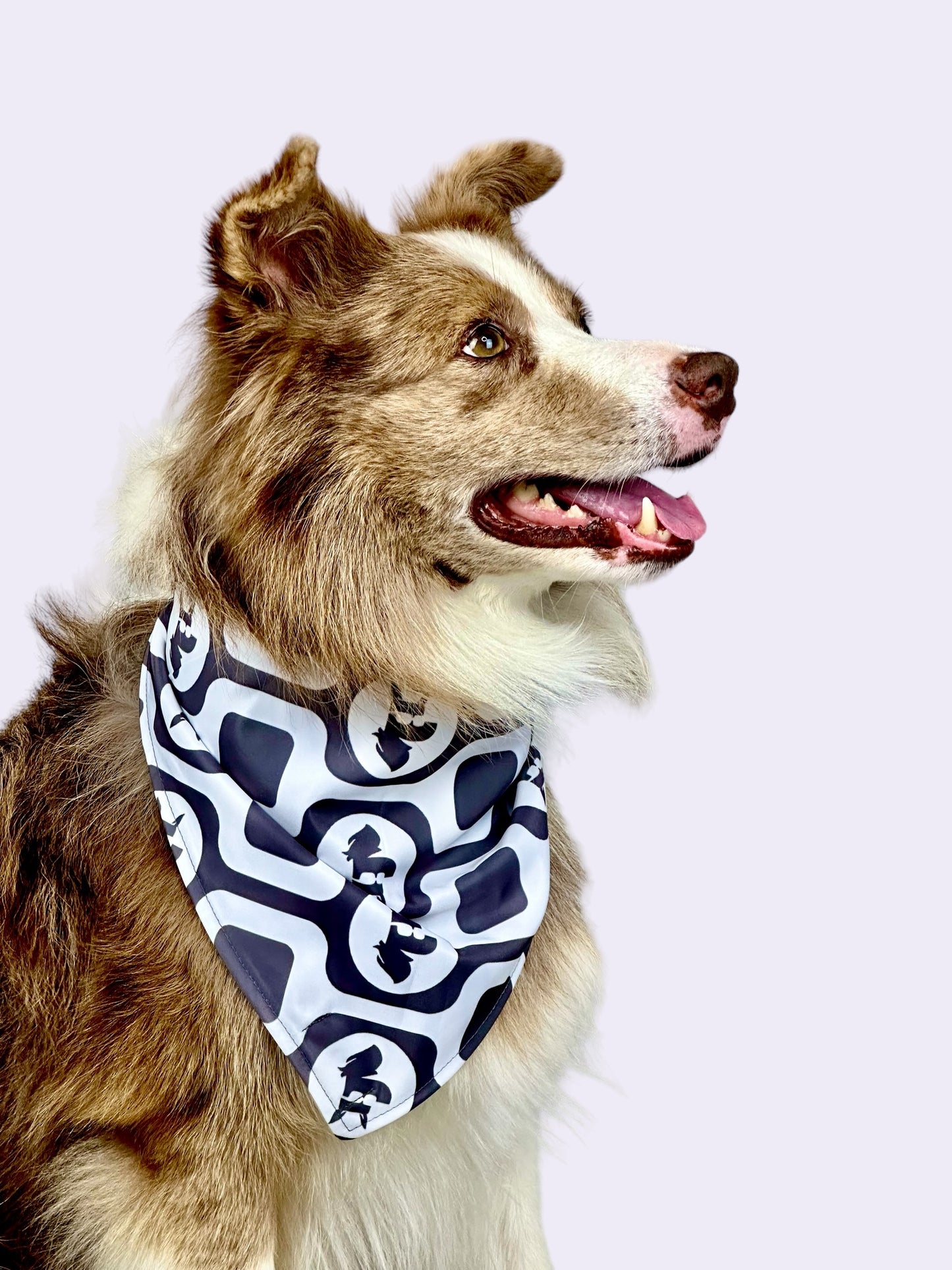 Bandana Pet Dupla Face Palm Trees - Cinza