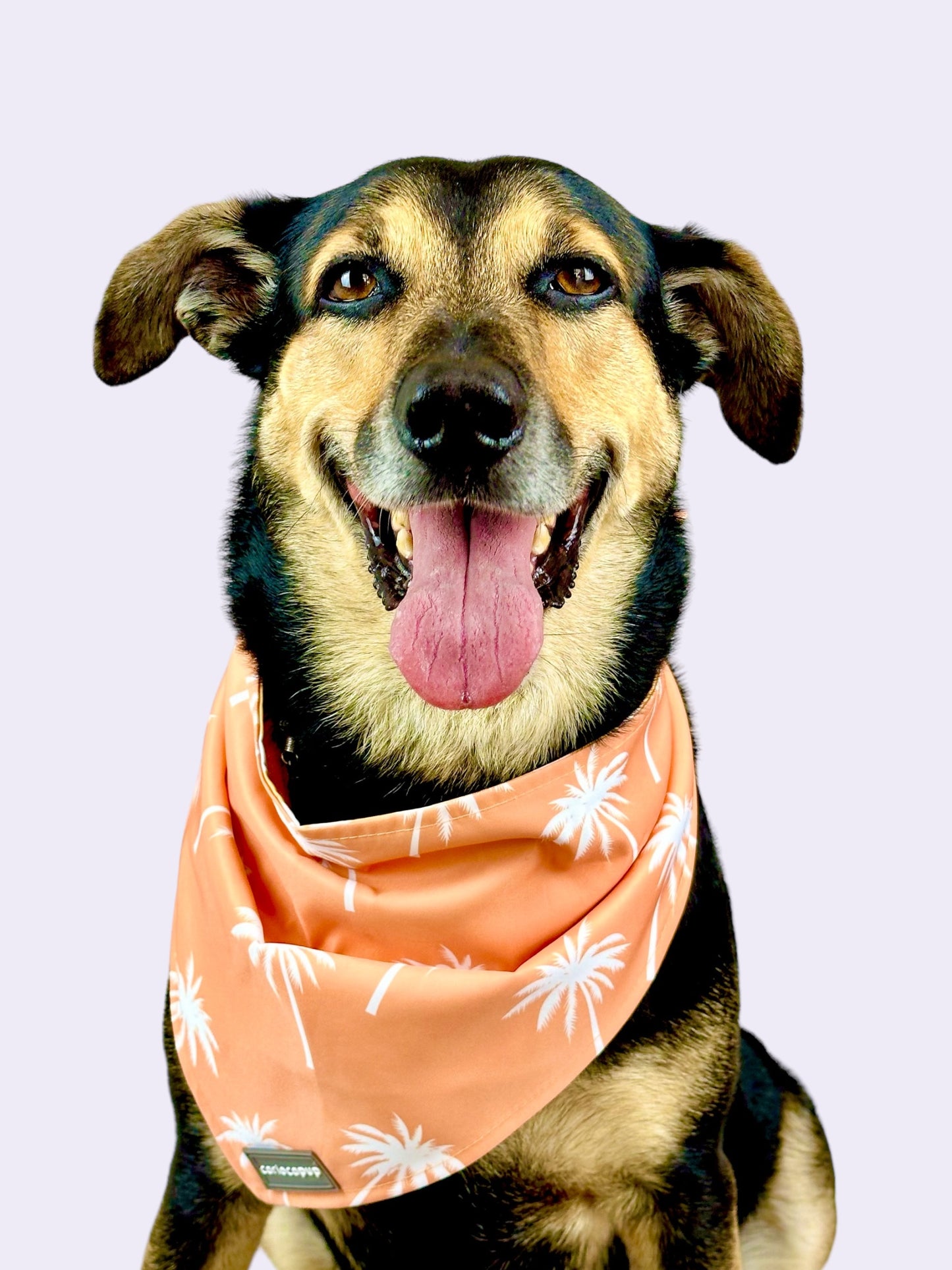 Bandana Pet Dupla Face Palm Trees Laranja da CariocaPup
