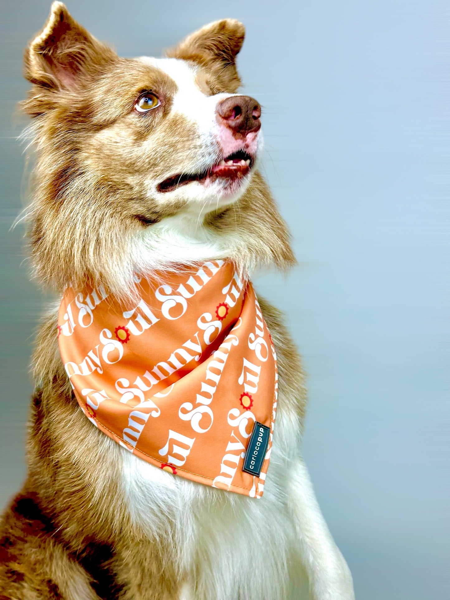 Bandana Pet Dupla Face Sunny Soul Laranja da CariocaPup