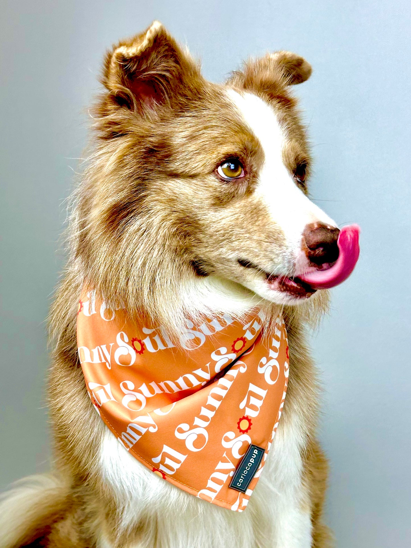 Bandana Pet Dupla Face Sunny Soul Laranja da CariocaPup