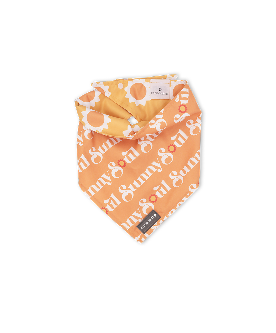Bandana Pet Dupla Face Sunny Soul Laranja da CariocaPup