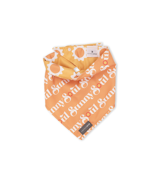 Bandana Pet Dupla Face Sunny Soul Laranja da CariocaPup