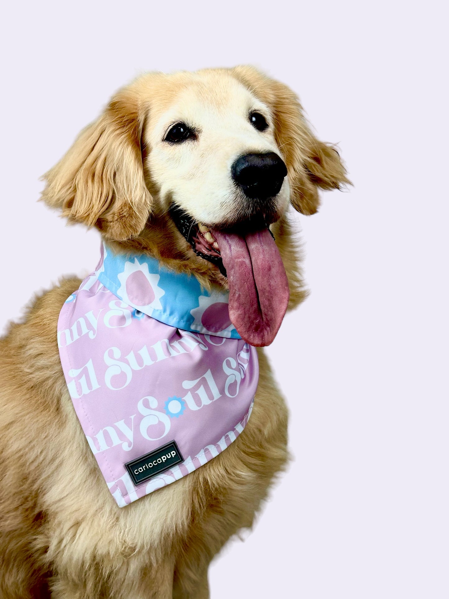 Bandana Pet Dupla Face Sunny Soul - Rosa