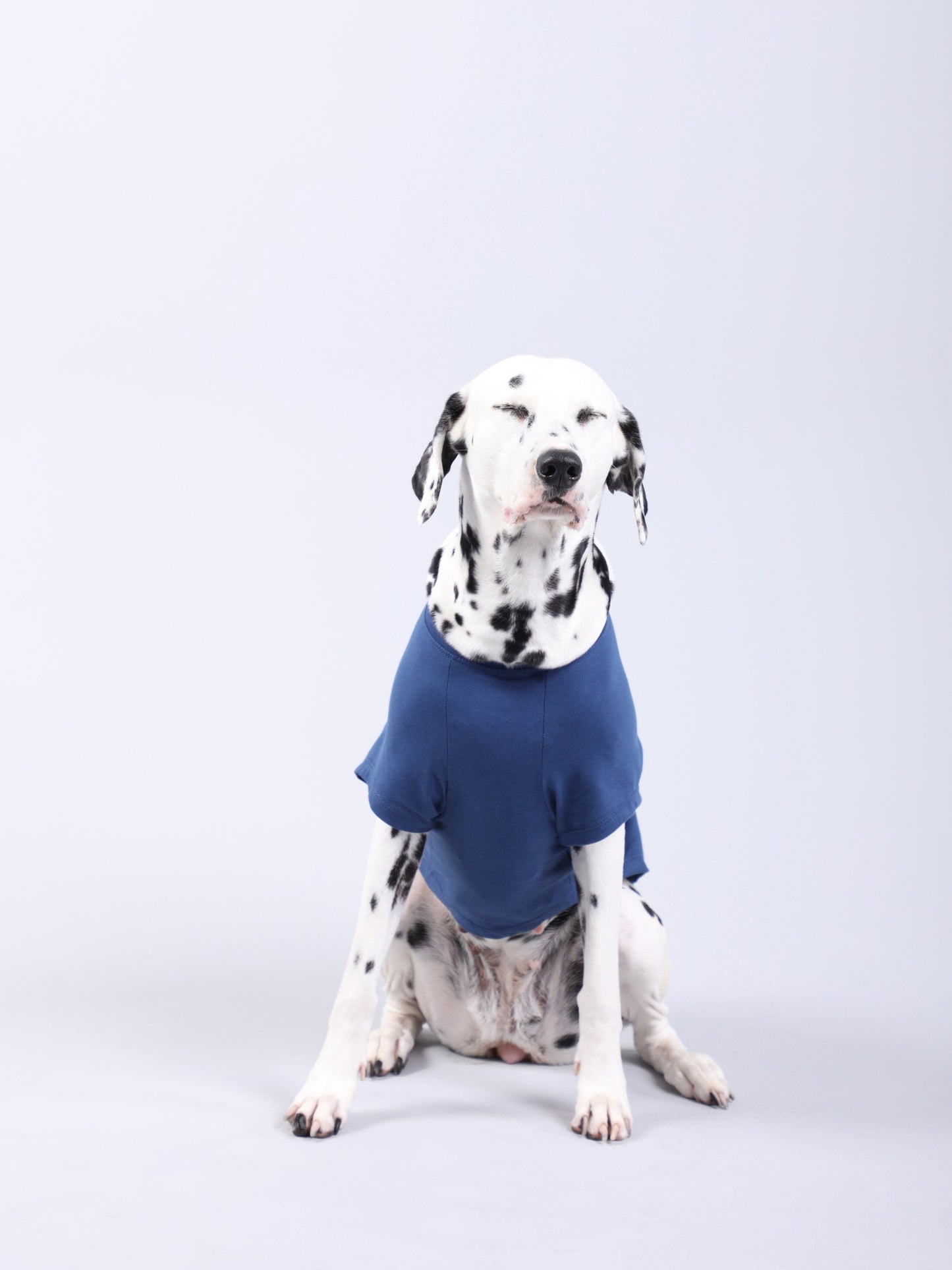 T-Shirt Pet Girl from Ipanema Azul da CariocaPup