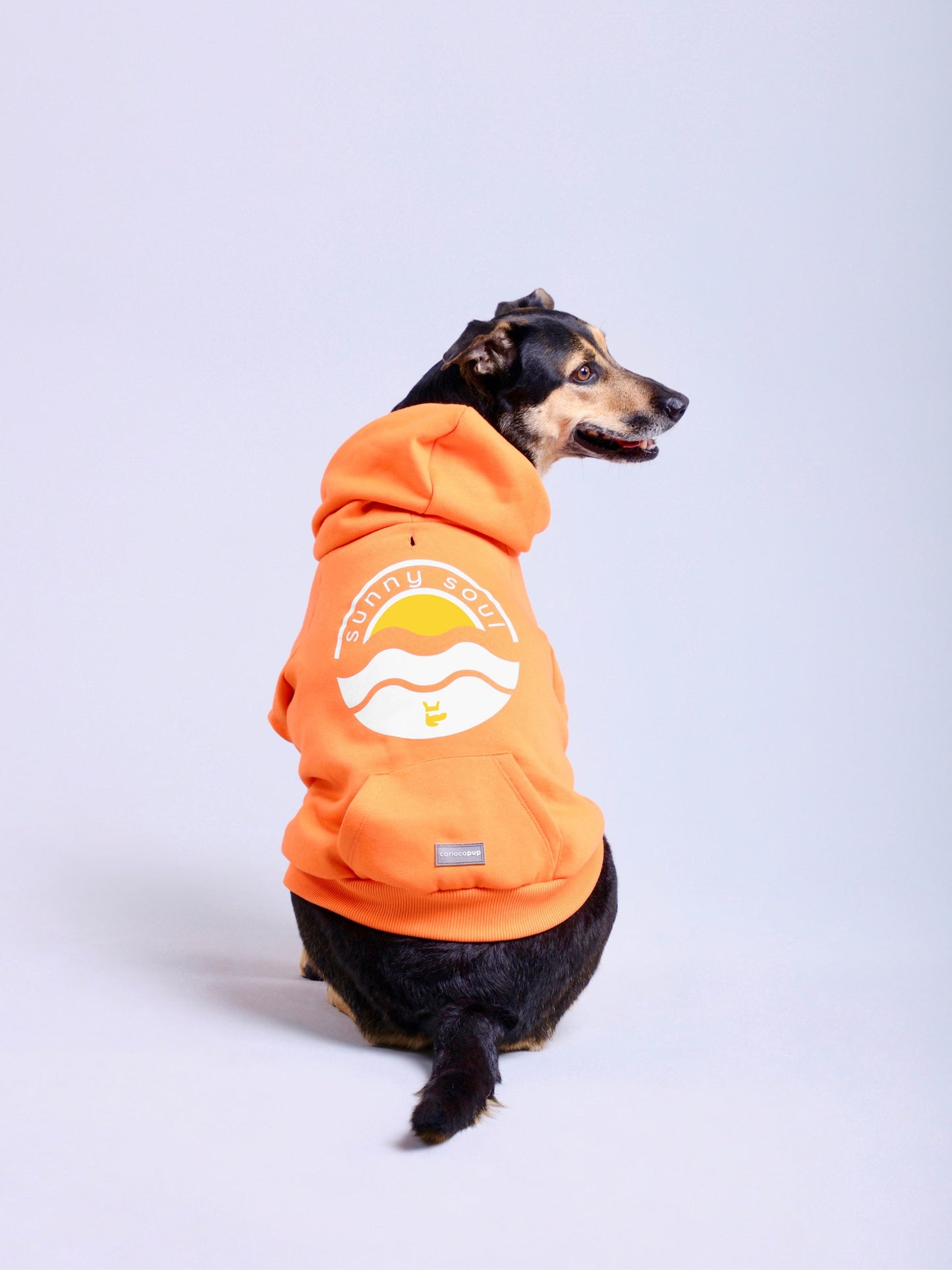 Moletom Hoodie Pet Selo Sunny Soul - Laranja