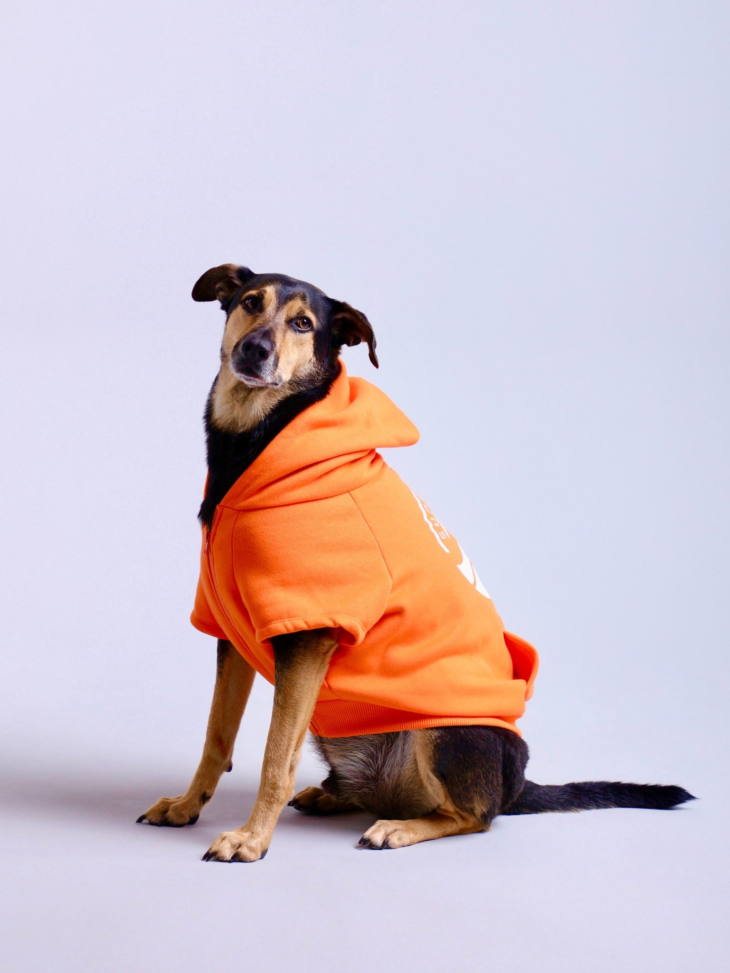 Moletom Hoodie Pet Sunny Soul Laranja da CariocaPupMoletom Hoodie Pet Sunny Soul Laranja da CariocaPup