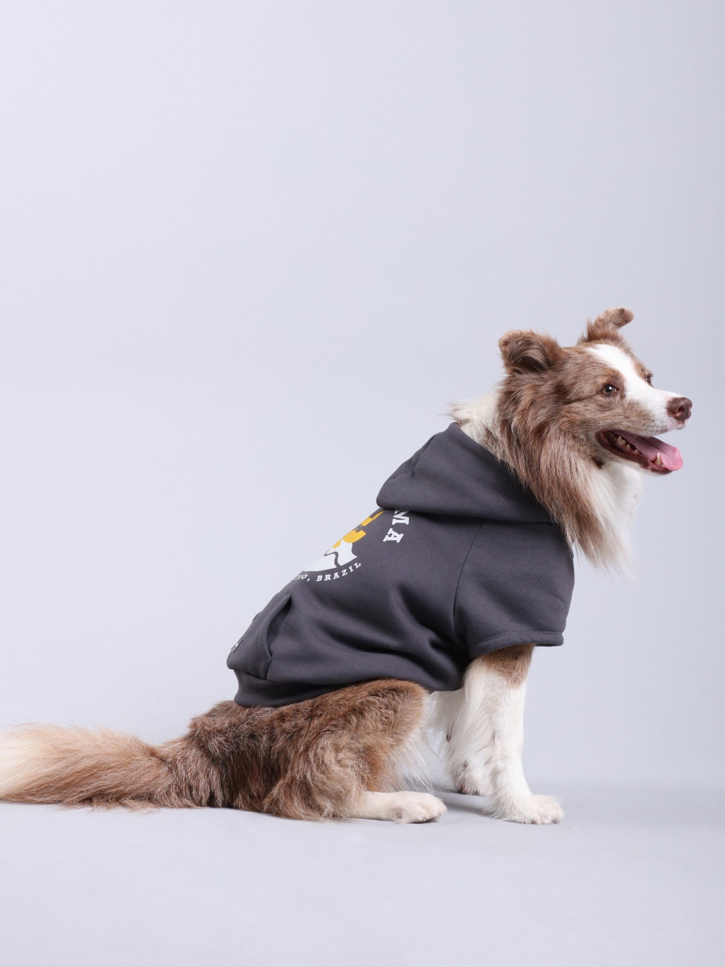 Moletom Hoodie Pet Ipanema Chumbo da CariocaPup