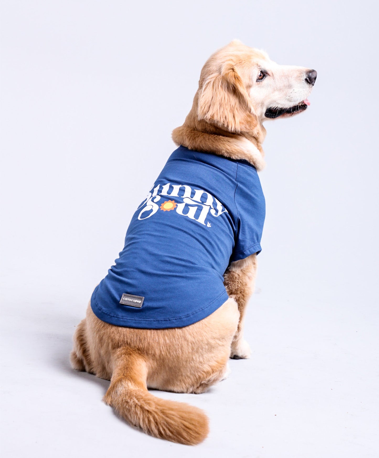 T-Shirt Sunny Soul Azul da CariocaPup