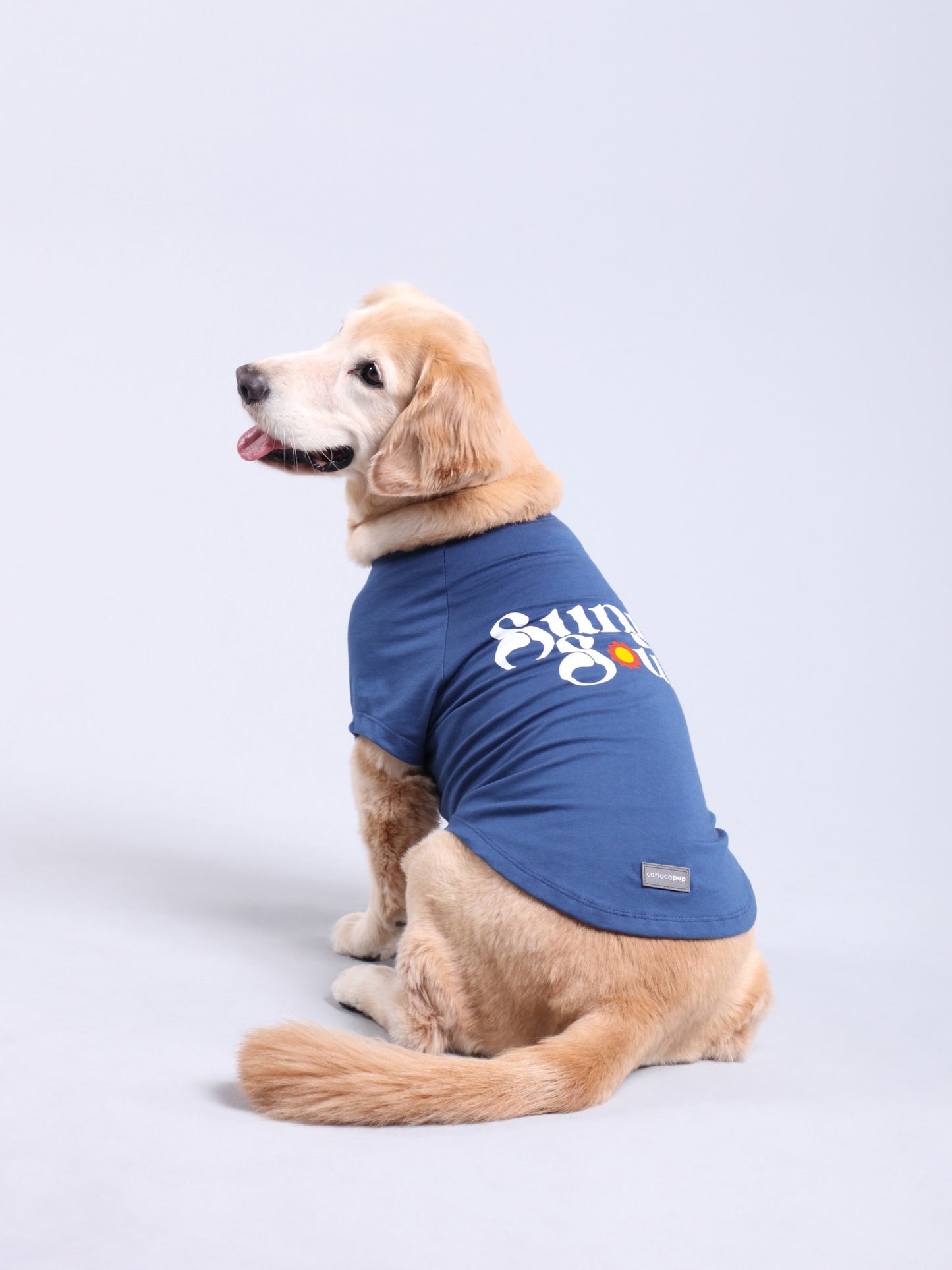 T-Shirt Sunny Soul Azul da CariocaPup