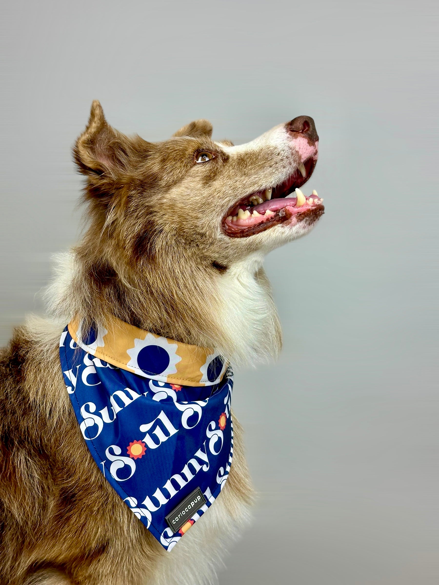 Bandana Pet Dupla Face Sunny Soul Azul da CariocaPup